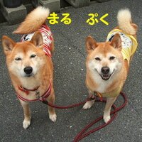 Chance to meet (@pukumarunon) Twitter profile photo