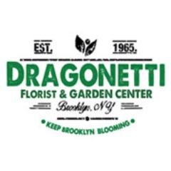 Dragonetti Dragonetti4 Twitter