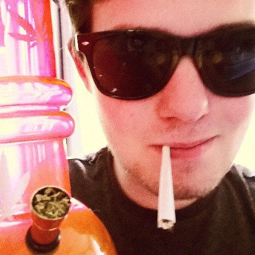 wonkydevilgames's profile picture. Sex, drugs and more pug hugs!