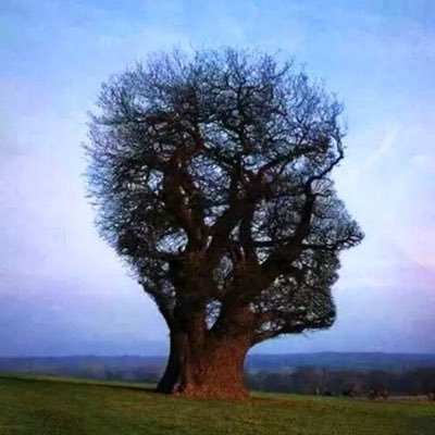 Dennis_Tan1123's profile picture. 