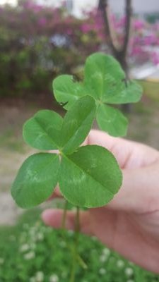 dmzlzl1210's profile picture. 