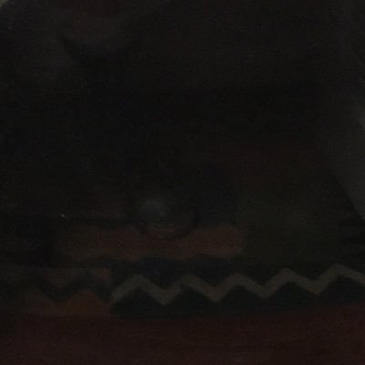 TrumpListens's profile picture. 