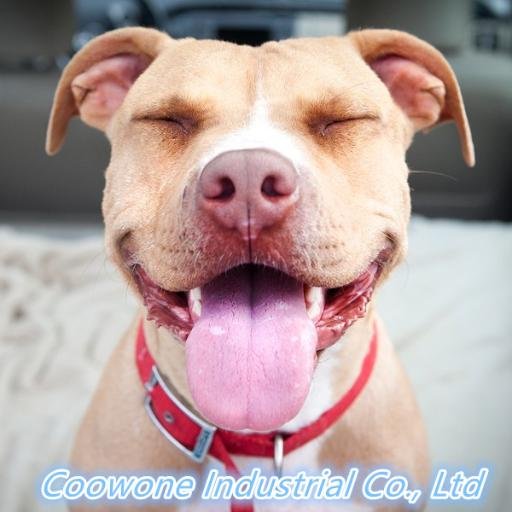 pet_alice's profile picture. the seller of Coowone Industrial Co., Ltd, a leading manufacturer of pet related products(collar/leash/harness.etc). Quality meet the Japan/ EU / USA standard.