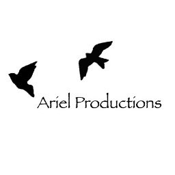 Catering in Photo Booth Rentals, DJs, Photography, Videography and Decor for any special event. Located in the GTA. Use #ArielProductions for special offers!