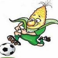 Speedballl's profile picture. Metro/Red Bull NY, USMNT, Fluminense, Sampaio Corrêa F.C.