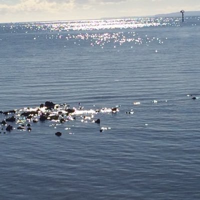 Year4AtOC's profile picture. Teacher