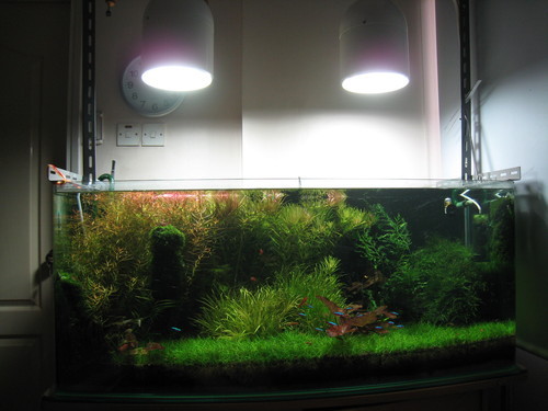 equidorz's profile picture. 