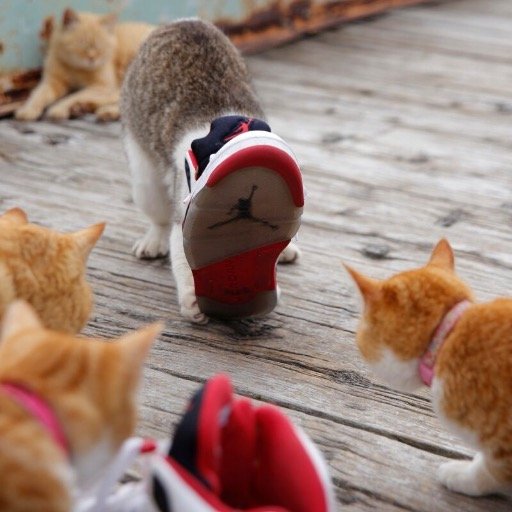 photo_only's profile picture. BUY ONE,YOU SAVE A LIFEに参加。
スマフォで撮った思い出の瞬間を、簡単にキャンバスにプリント出来るアートスタジオです。