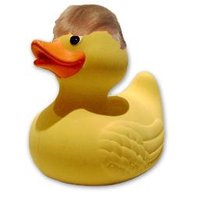 US first (@donaldducksit) 's Twitter Profile