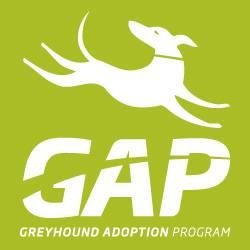 The Greyhound Adoption Program, or GAP, is an initiative of Greyhound Racing Victoria dedicated to finding homes for greyhounds after racing.