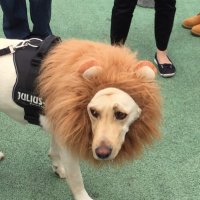 せんやす (@syksy0716) Twitter profile photo