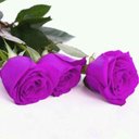فهد (@5bEY3WSfvqni9C7) Twitter
