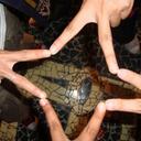 shin sung hee - @shin_sunghee - Twitter