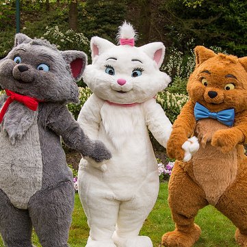 chul4ahn's profile picture. 🐱🐱🐱 FOLLOW4FOLLOW, 우리는 트위터를 왜 하는가. 🌿🌿 맞팔100% 🍀🍀 맞팔맞팔맞팔, 모두들 환영합니다. 🐱🐱🐱