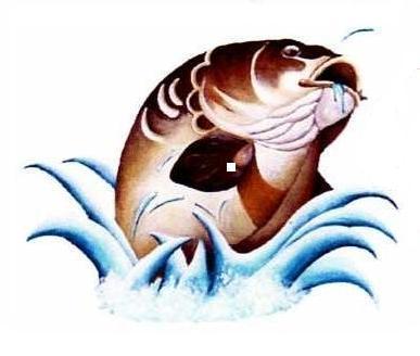 odaaltd's profile picture. Angling Association, and conservation in Orpington in Kent