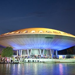 museumvakdagen's profile picture. 