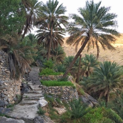 سبحان الله وبحمده سبحان الله العظيم