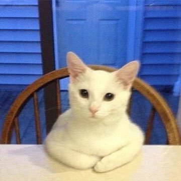 cyberoldowl's profile picture.