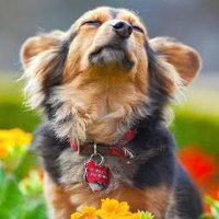 Проня Прокопивна (@proskoviia) 's Twitter Profile Photo Проня Прокопивна (@proskoviia) 's Twitter Profile Photo