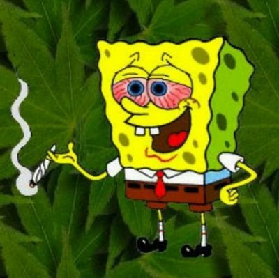 highthoughts129's profile picture. come one come all, stoned or sober feel free to DM any thoughts you've had, and you may be featured