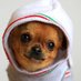 Simon (@simon_wgx) Twitter profile photo Simon (@simon_wgx) Twitter profile photo