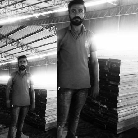 SawroopSingh8's profile picture. 