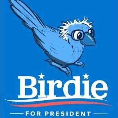 A FDR Democratic Socialist who believes in the message of Sen. Bernie Sanders that we must strive for social, economic, environmental and racial justice.