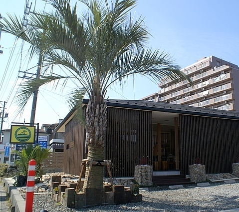 岐阜県笠松町で観葉植物レンタル中心に、こだわりの小さな庭づくり、季節の花壇メンテナンスをする街の園芸屋さんです。植物の事でしたら何かお役に立てるかも。どうぞよろしく。