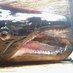 UEF Aquatic Ecology (@aquaecoluef) Twitter profile photo UEF Aquatic Ecology (@aquaecoluef) Twitter profile photo