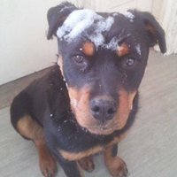 @getskyhome (@getskyhome) 's Twitter Profile