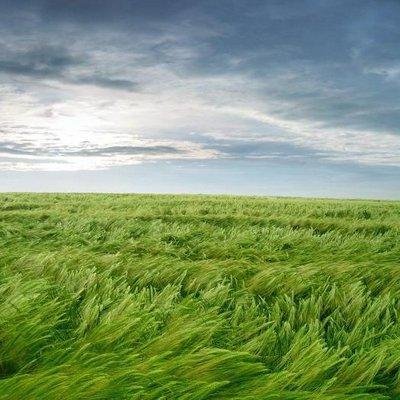 Rotdoz's profile picture. #TwitterCamp #LaFamilia #Teamchaotenstream #TeamRehstart 20.06.2035 #TeamDorrketti #TeamGlow Umarmungen sind keine Einbahnstraße I 10.09.2016