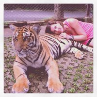 Nicola Barron (@barron_nicola) Twitter profile photo