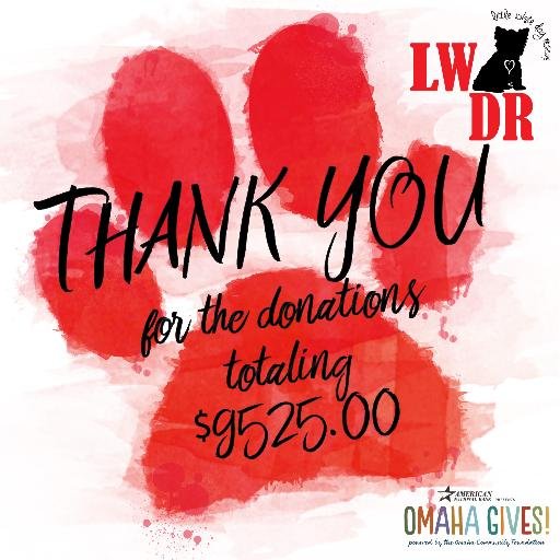 LilWhiteDogNE's profile picture. Little White Dog Rescue is an Omaha group dedicated to rescue, rehabilitation & rehoming of all sorts of small dogs.