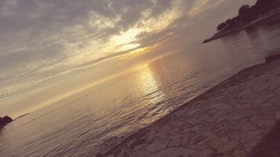 GregoriDRK's profile picture. Der verrückte Typ da, der diese Videos da halt macht.