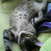 @nyanya1192nya