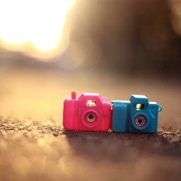 ofthedaypic's profile picture. Une image marquante par jour, pas une de plus, tel est le concept de Pic Of The Day !