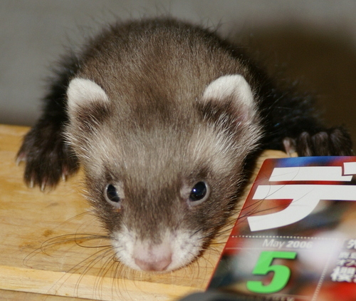 H_Michiyama's profile picture. 会社をリタイヤしてゆっくり過ごしてます。
今はカメラとラジコングライダーに大はまり！
楽しんでます。