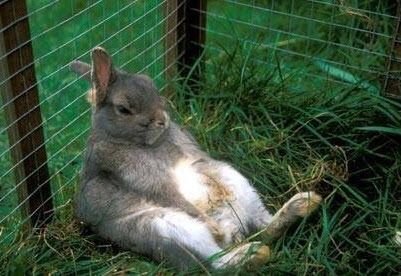 rabinabo's profile picture. Rino In Name Only, i.e. not Republican in name or in fact. Besides obsessing about politics recently, I tinker, read/do math, ride bicycles.