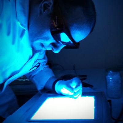 plant pathology.
Interested in the molecular interactions between pathogenic microorganisms and plants.