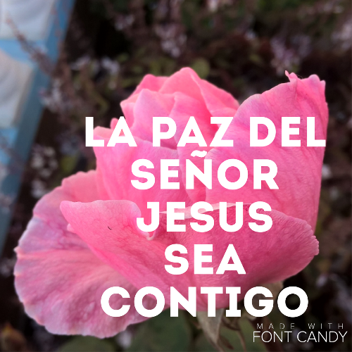 AmoaJesucristo's profile picture. Jesús es el Camino,
