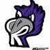 Castlewood Ravens (@cwoodravens) Twitter profile photo
