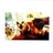 robynempls's profile image