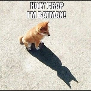 RandomData_01's profile picture. Anime, ciencia sin sentido, comics, videojuegos (con eso me refiero a minecraft. Vivan los niños rata!), ver television y ver peliculas en netflix.