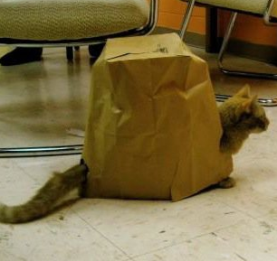 OXphilly's profile picture. a DIY art/music/living space in Philadelphia