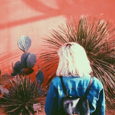 mashtonpain's profile picture. 