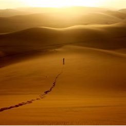 ArabicOP Profile Picture