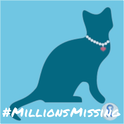 Kraftycat2's profile picture. Living positive despite disabilities. Love to make jewelry, love cats, love true equality. Hoping for tRump and his cronies to get theirs.