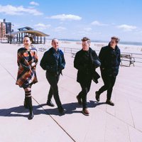 The Shondes (@theshondes) Twitter profile photo