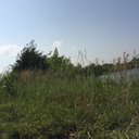 Sam - @NotSamHicks - Twitter