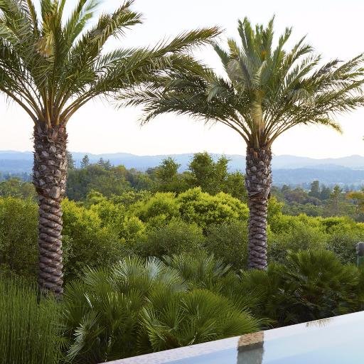 A forthcoming book by Jason Dewees about landscape design with palms. From Timber Press.